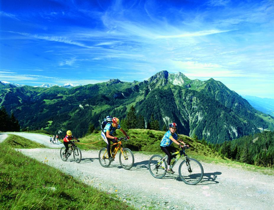 Pension Hochkoenigblick Sankt Johann im Pongau Ngoại thất bức ảnh